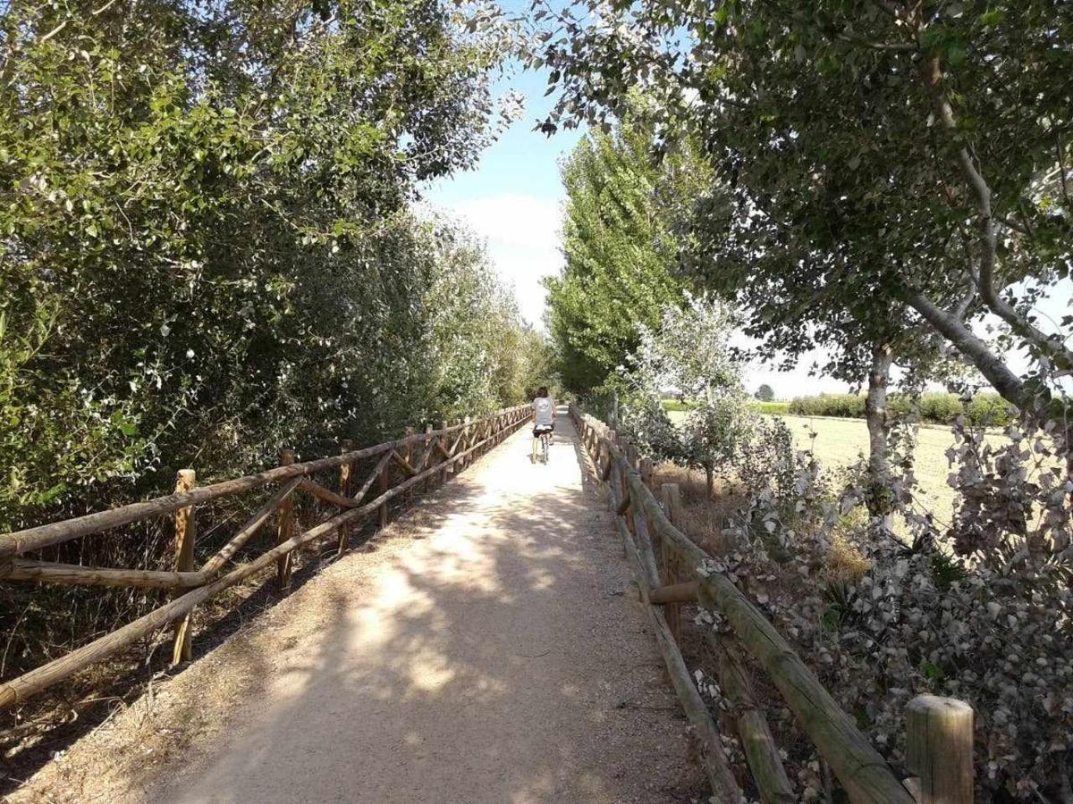 Casetes Del Delta Sant Jaume d'Enveja Zewnętrze zdjęcie